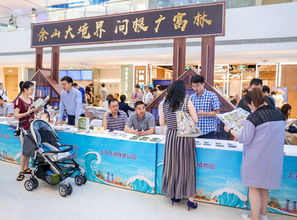 松江最好玩的時(shí)候到了 2019盛夏狂歡季重磅來襲