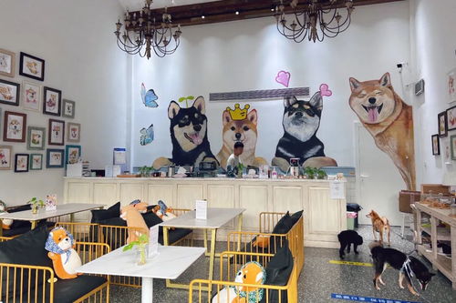 身邊的美學空間 蘇州這幾處公共文化體驗空間，文藝小資且充滿藝術靈感